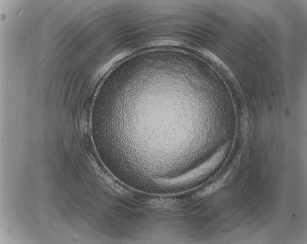 X0000085290929200703231829