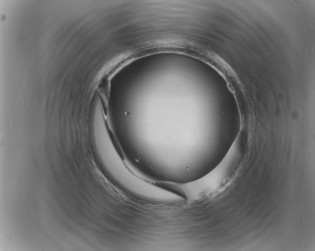 X0000085290930200703231829