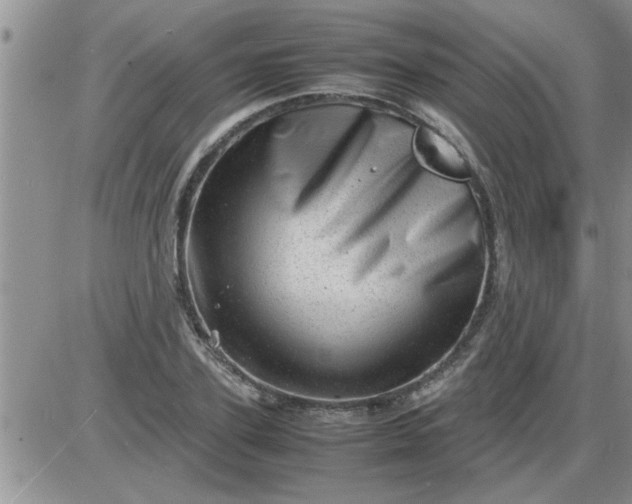 X0000085290931200703231829