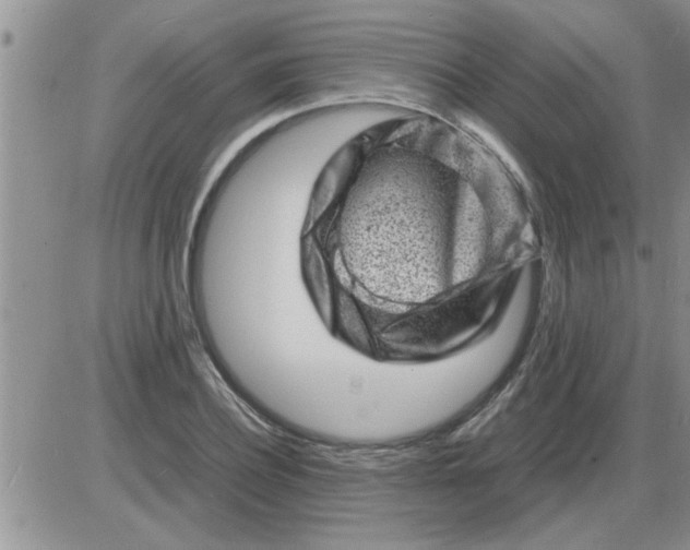 X0000085290932200703231829