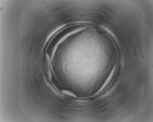 X0000085290933200703231829