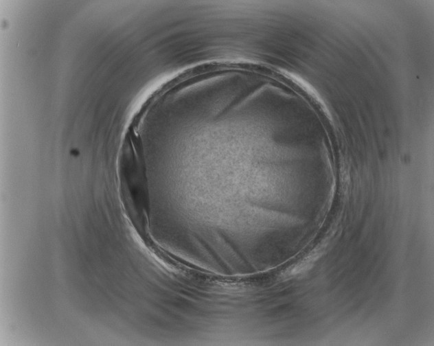 X0000085290935200703231829