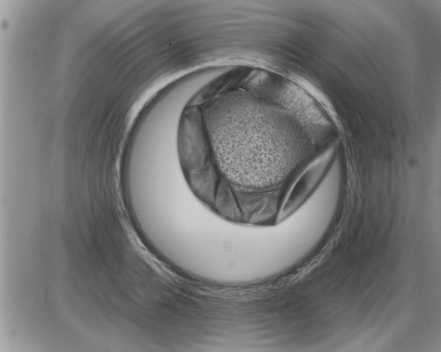 X0000085290936200703231829