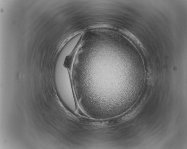 X0000085290937200703231829