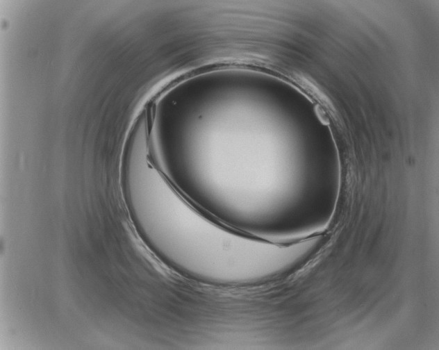 X0000085290940200703231829