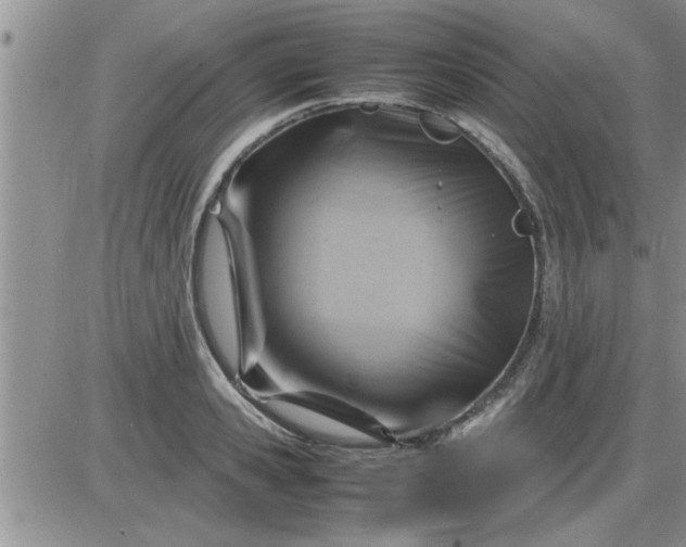 X0000085290941200703231829