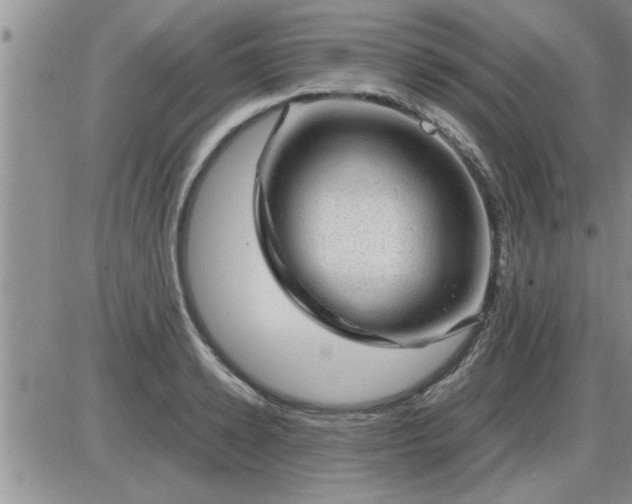 X0000085290942200703231829