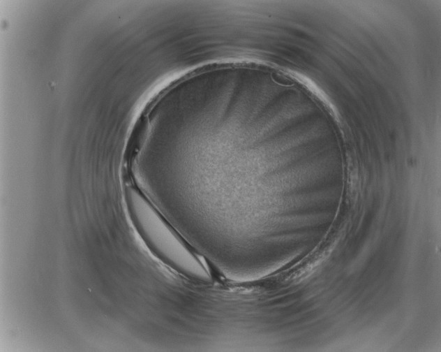 X0000085290943200703231829