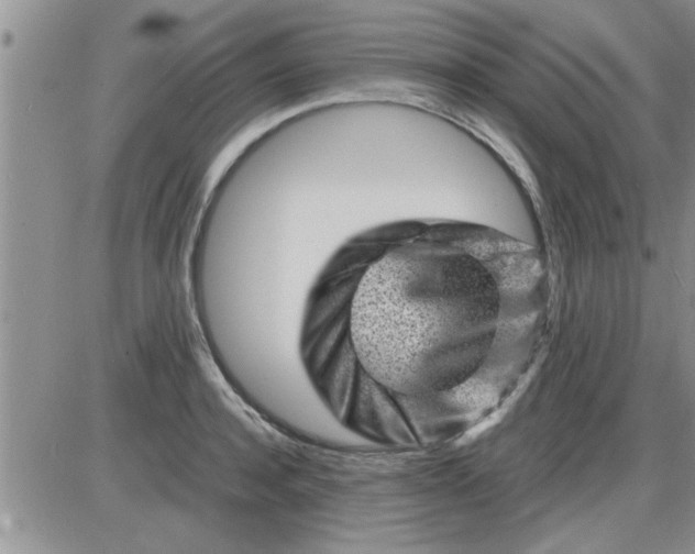 X0000085290944200703231829