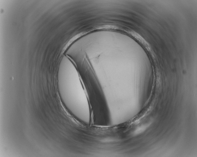 X0000085290945200703231829