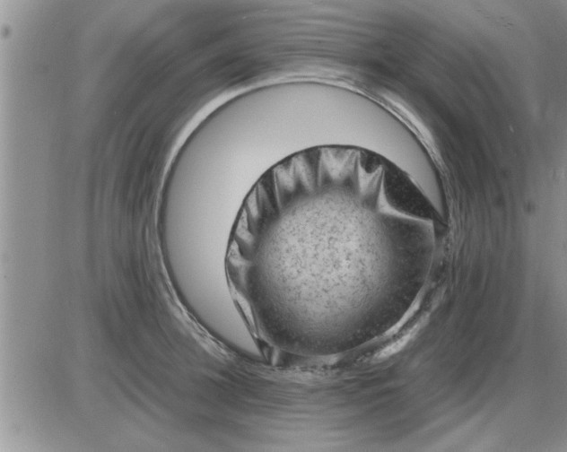 X0000085290948200703231829