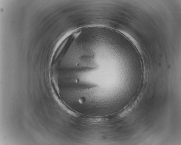 X0000085290949200703231829