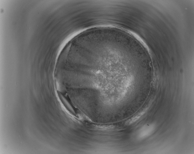 X0000085290951200703231829