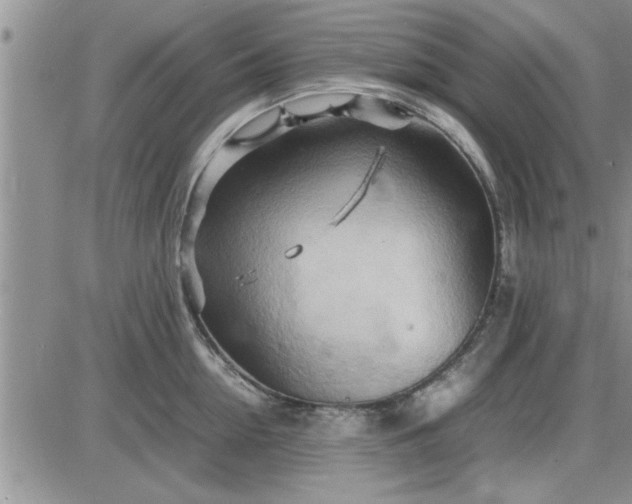 X0000085290954200703231829