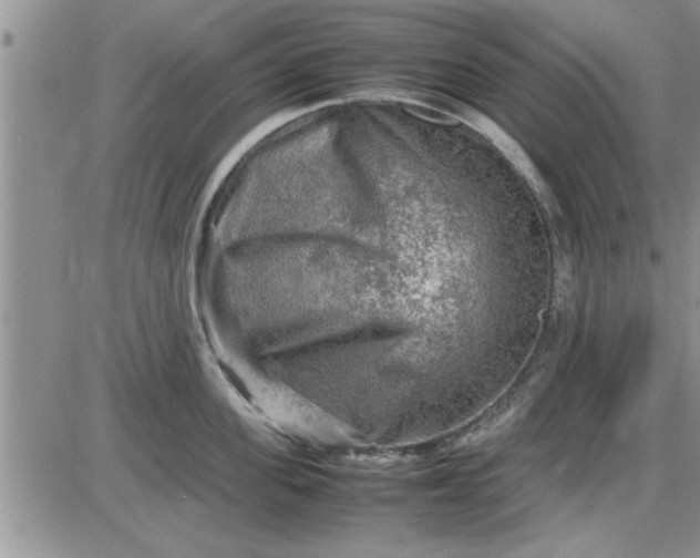 X0000085290955200703231829