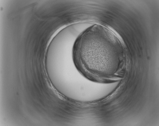 X0000085290956200703231829