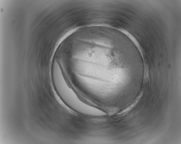 X0000085290957200703231829