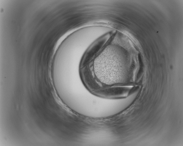 X0000085290960200703231829