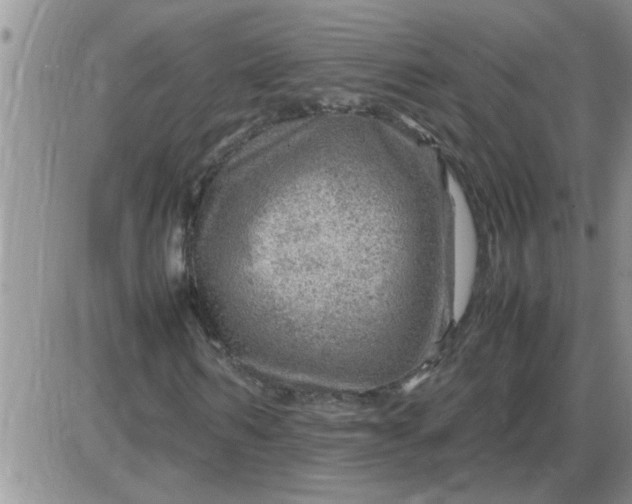 X0000085290962200703231829