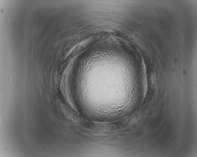 X0000085290963200703231829