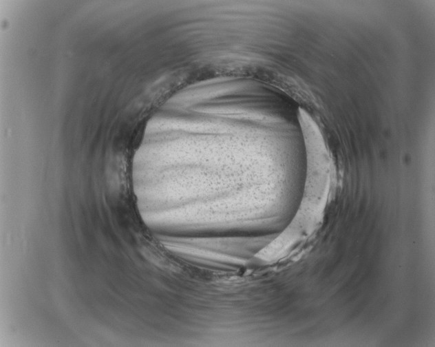 X0000085290964200703231828