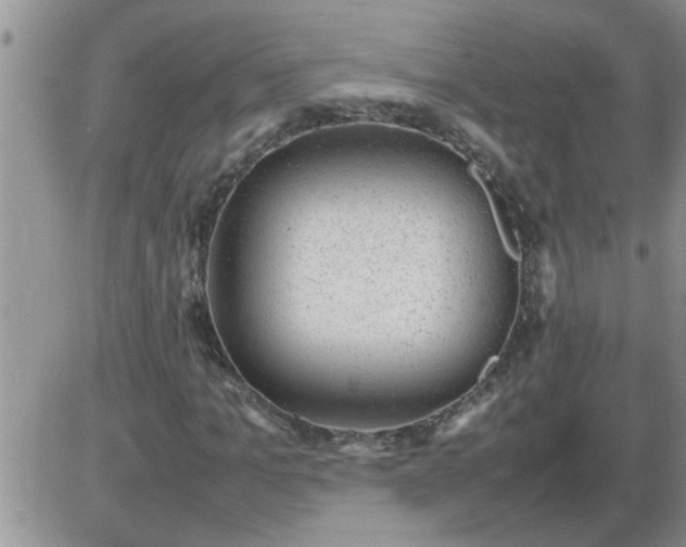 X0000085290965200703231828