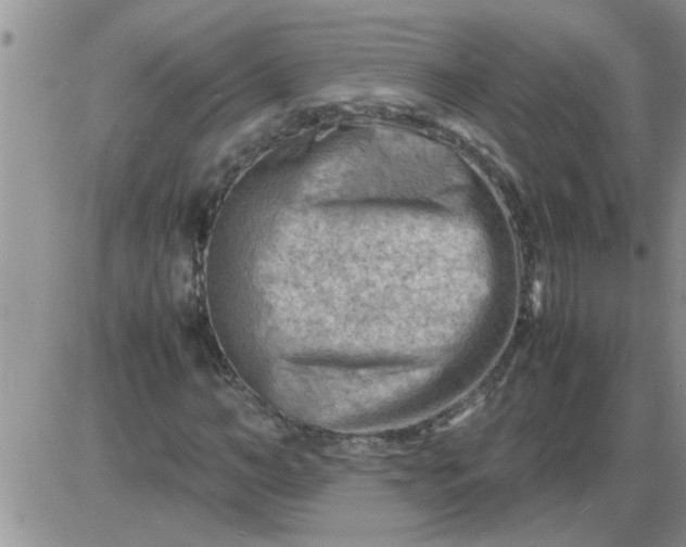 X0000085290966200703231828