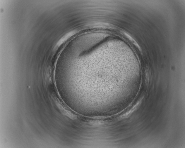 X0000085290970200703231828