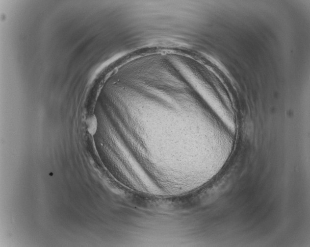 X0000085290971200703231828