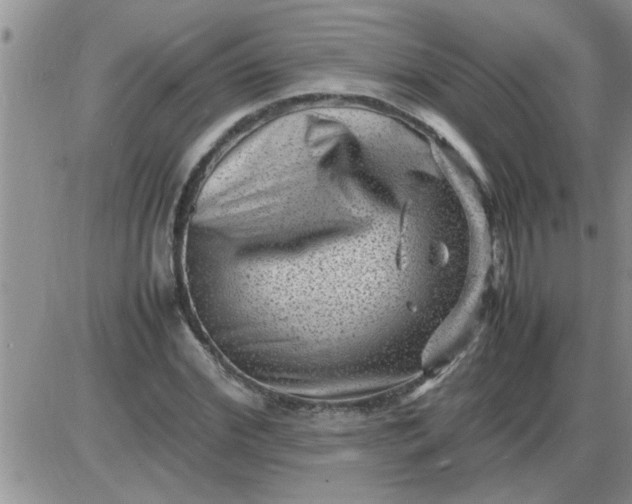 X0000085290972200703231828