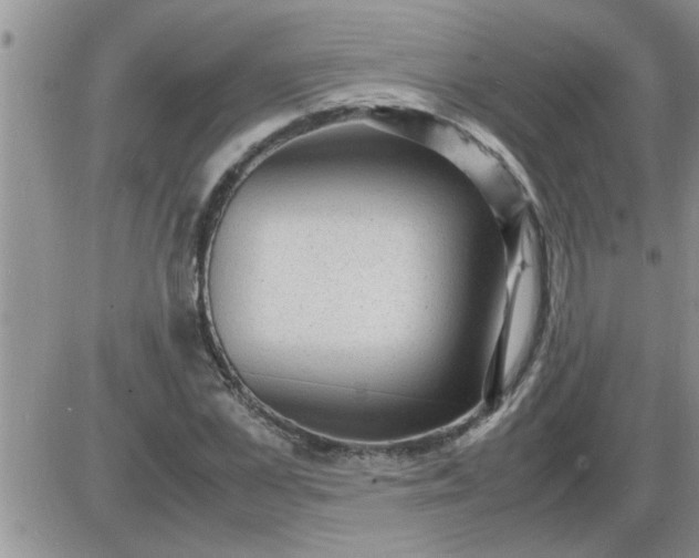 X0000085290973200703231828