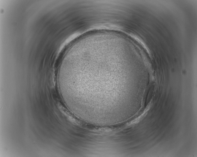 X0000085290974200703231828