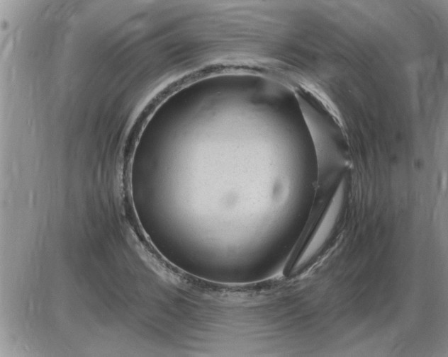 X0000085290976200703231828