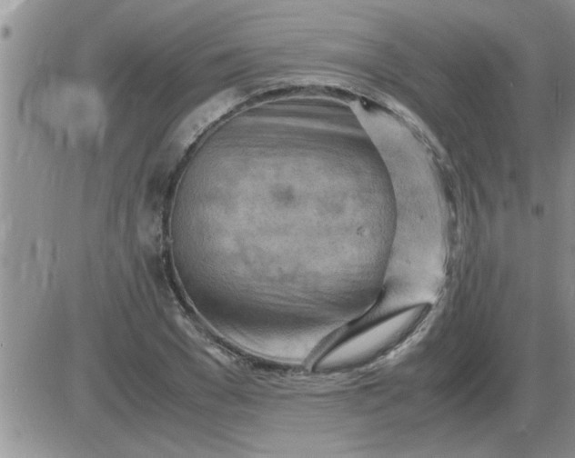 X0000085290977200703231828