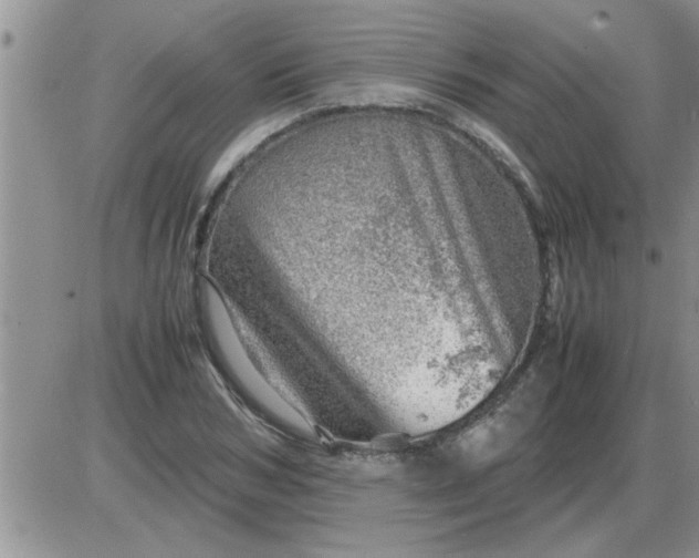 X0000085290978200703231828