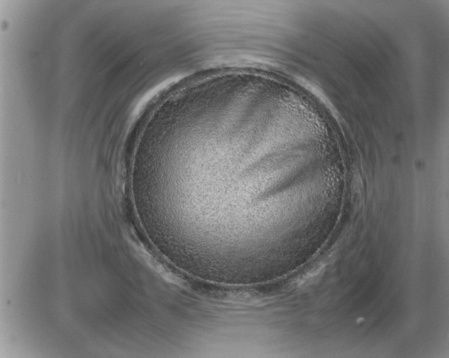 X0000085290979200703231828