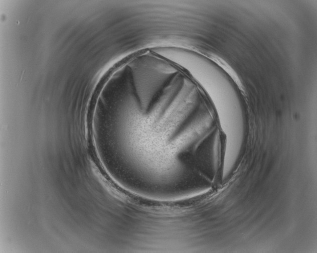 X0000085290980200703231828