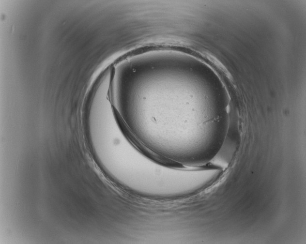 X0000085290981200703231828