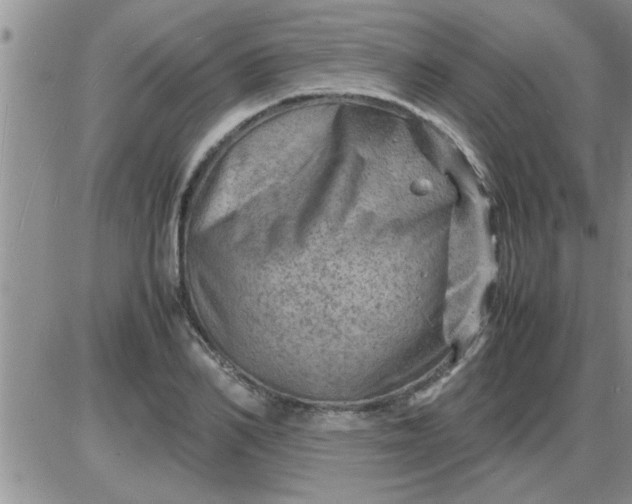 X0000085290982200703231828