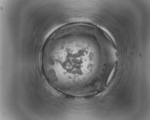 X0000085290983200703231828