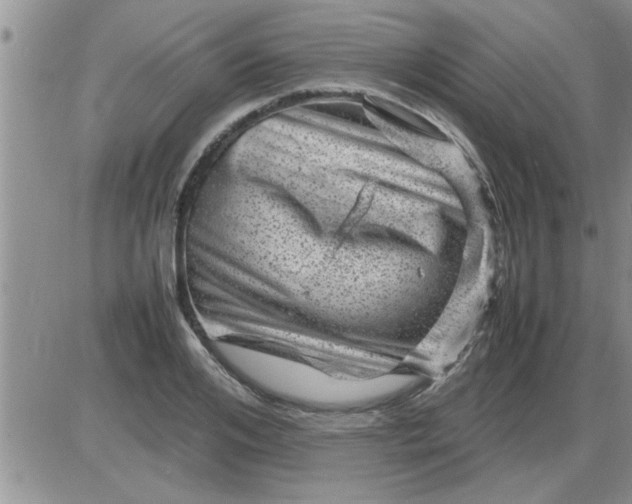 X0000085290984200703231828