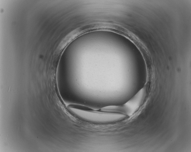 X0000085290985200703231828