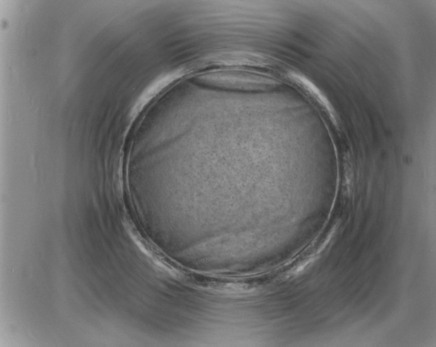 X0000085290986200703231828