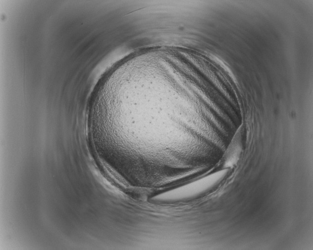 X0000085290987200703231828