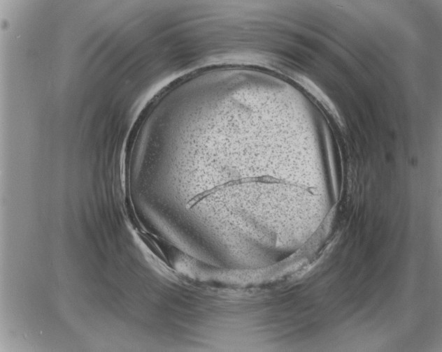 X0000085290988200703231828