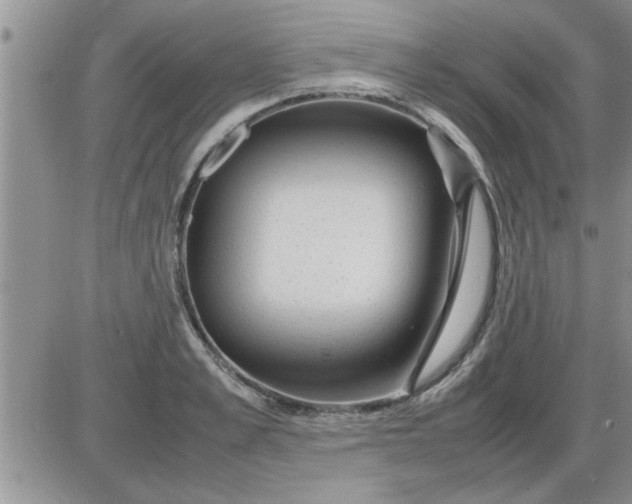 X0000085290989200703231828