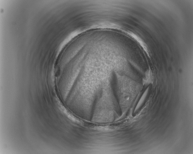 X0000085290990200703231828