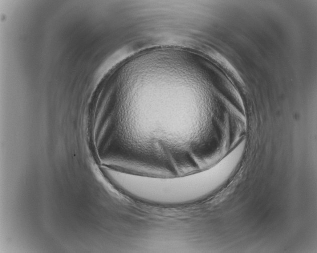 X0000085290991200703231828