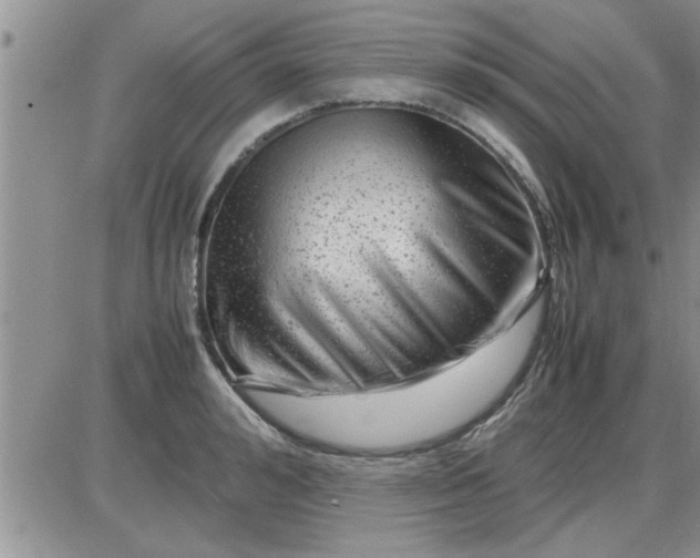 X0000085290992200703231828