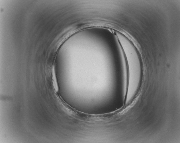 X0000085290993200703231828